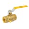 Thrifco Plumbing 1 Inch FIP Brass Ball Valve with Stop & Waste 6414024 - alternate 1